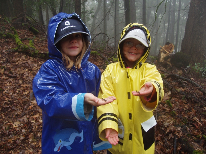 Slender Salamander